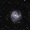 M83