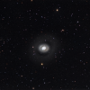 M94