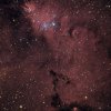 NGC 2264