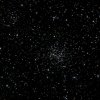 NGC 2194